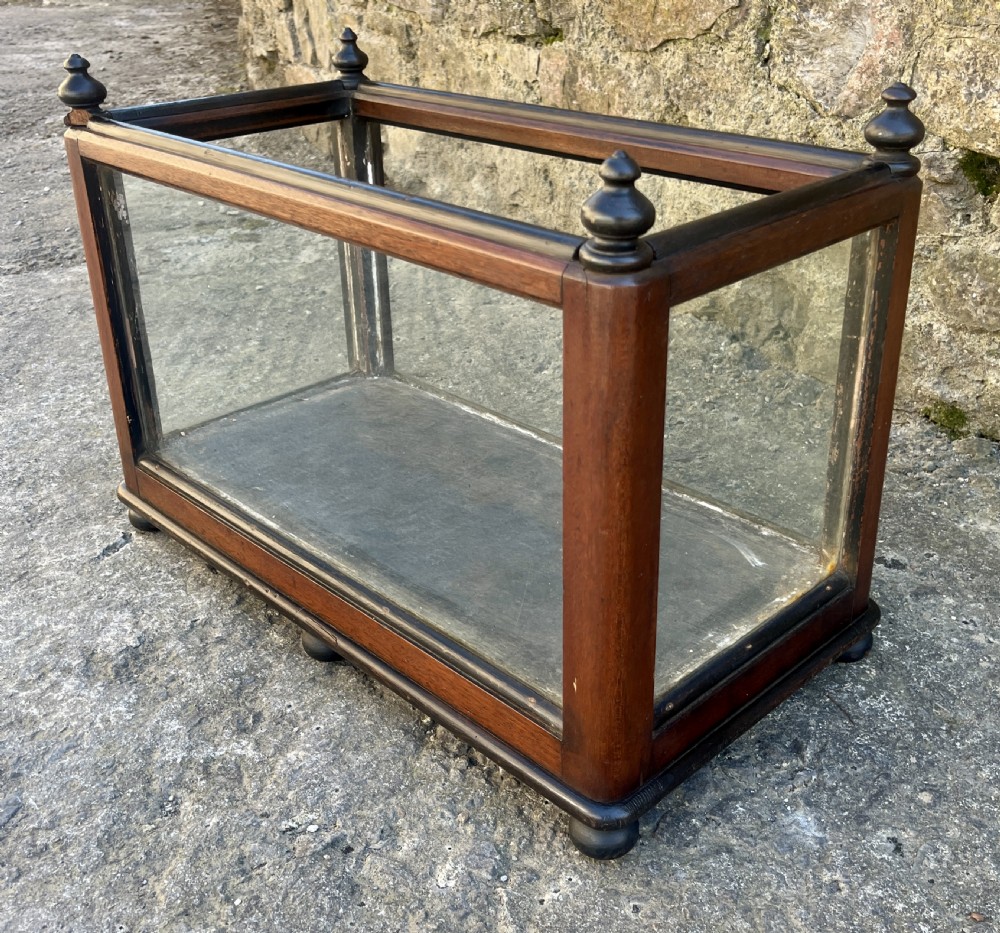 Antique Oak Framed Glass Terrarium View XI