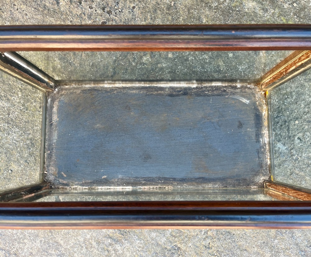 Antique Oak Framed Glass Terrarium View XII