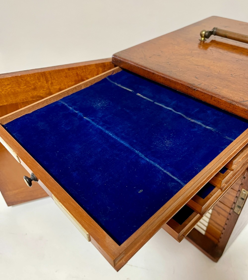 Victorian Mahogany Microscope Slide Cabinet View VII