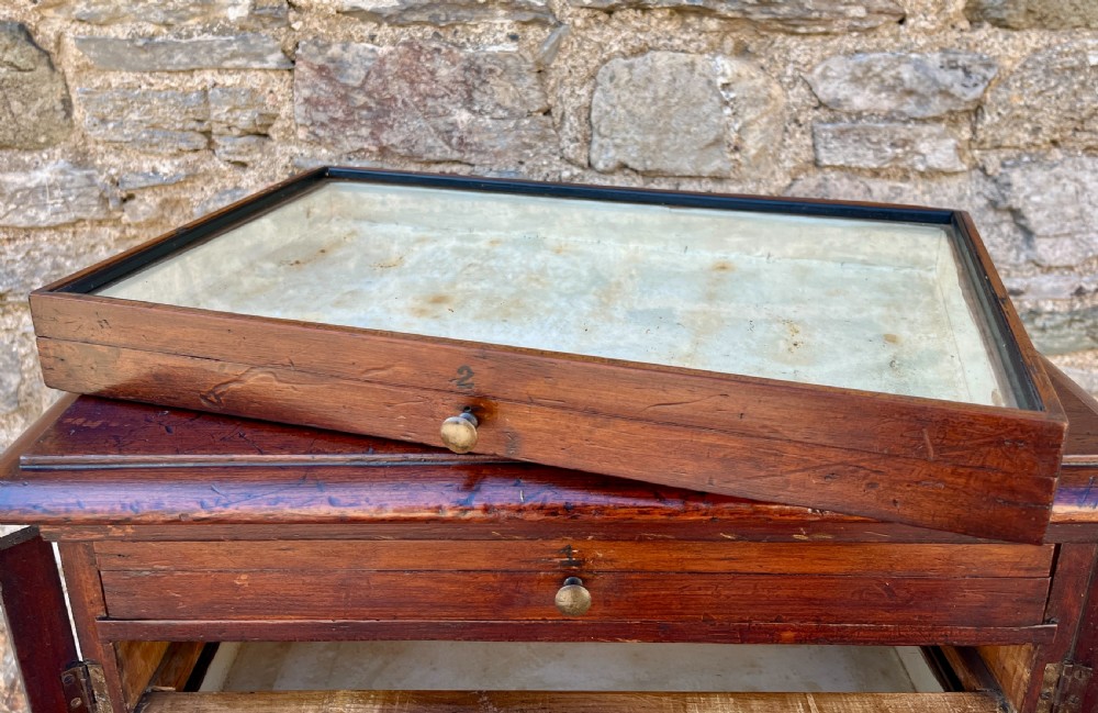 Antique Specimen Cabinet View III