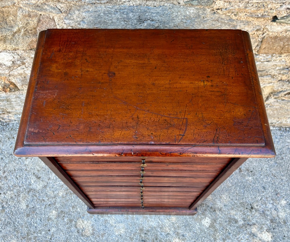 Antique Specimen Cabinet View IV