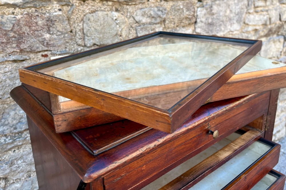 Antique Specimen Cabinet View V