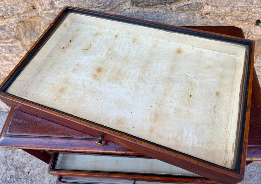 Antique Specimen Cabinet View VII