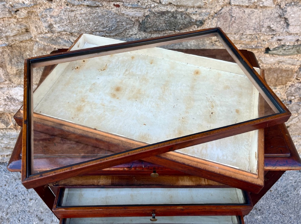 Antique Specimen Cabinet View VIII