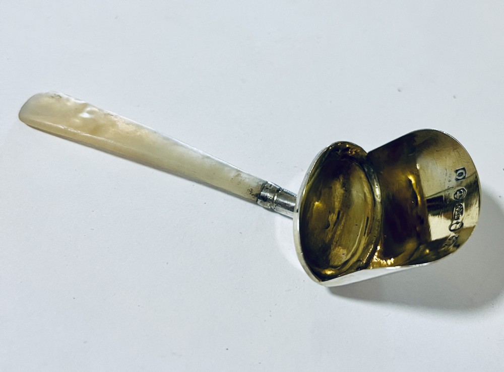 Georgian Silver Caddy Spoon View VIII