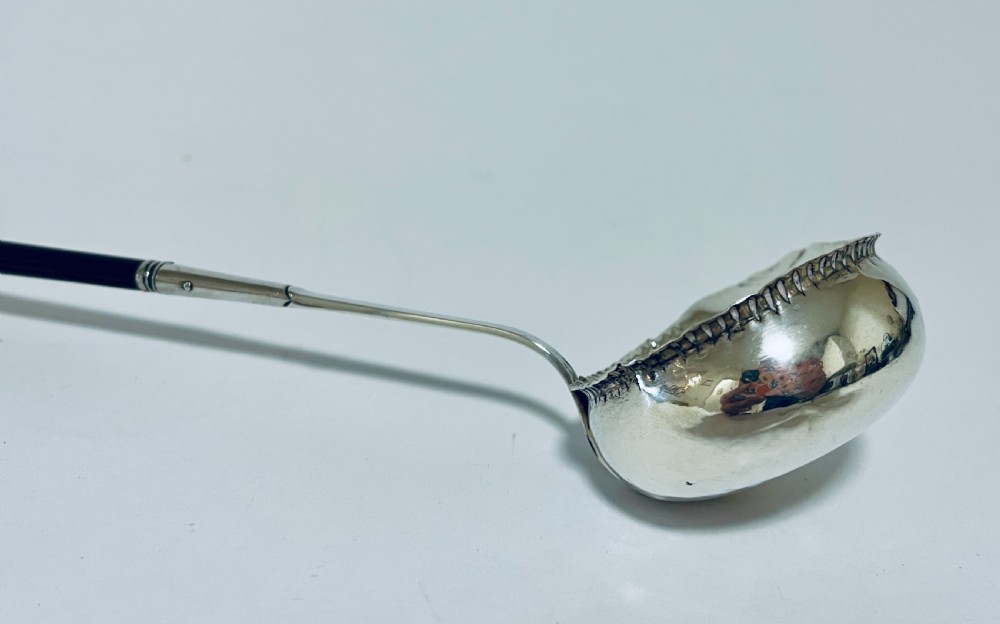 Georgian Silver Toddy Ladle View VIII