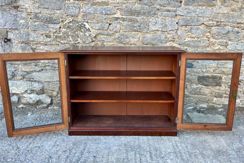 Victorian Mahogany Glazed Cabinet View IX