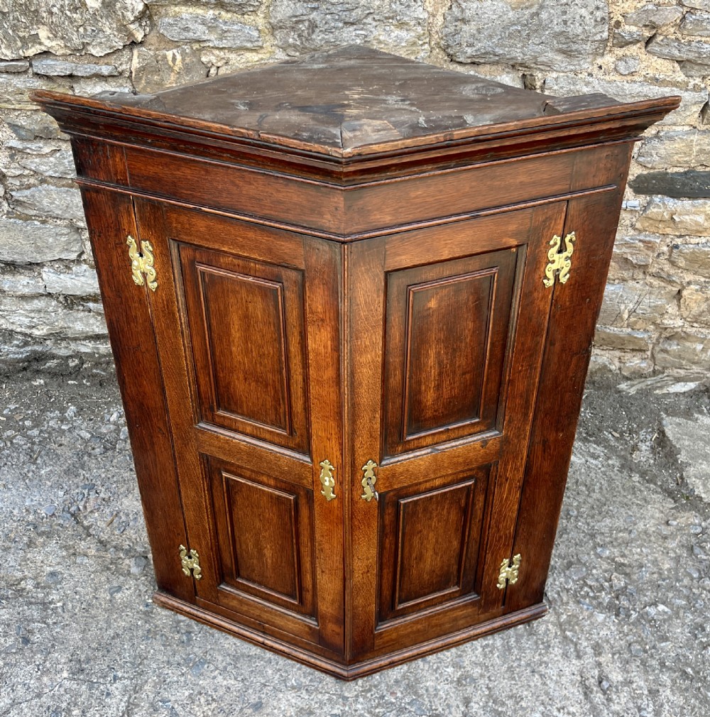 A Georgian dark oak wall-hanging corner cupboard featuring twin fielded panel doors and decorative brass H-hinges. View II