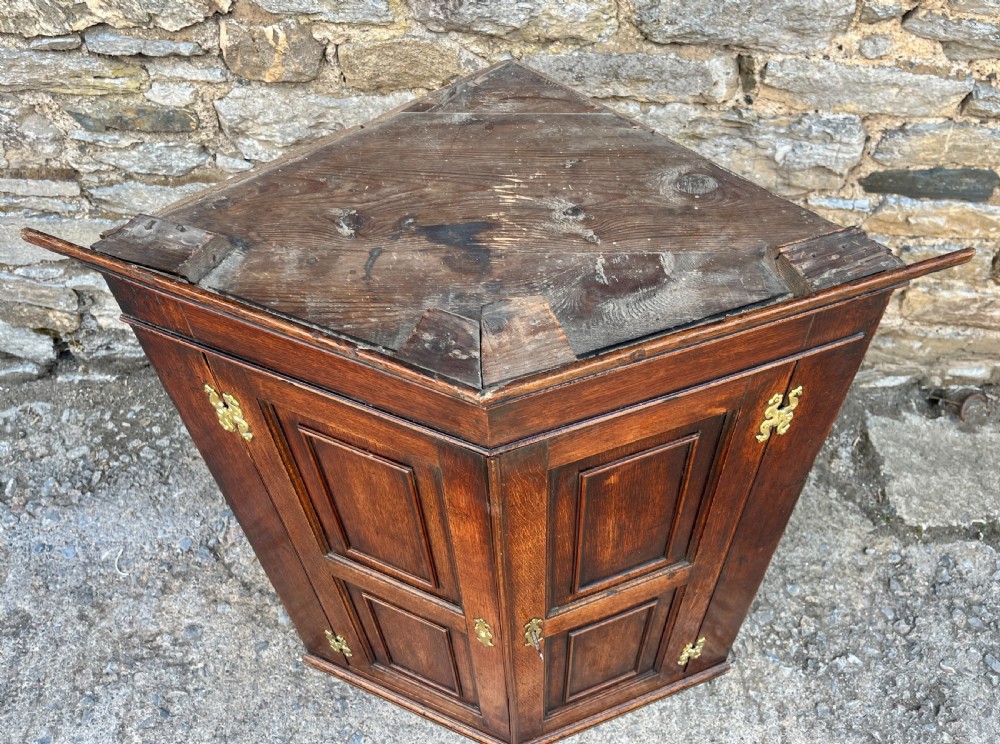 A Georgian dark oak wall-hanging corner cupboard featuring twin fielded panel doors and decorative brass H-hinges. View VII