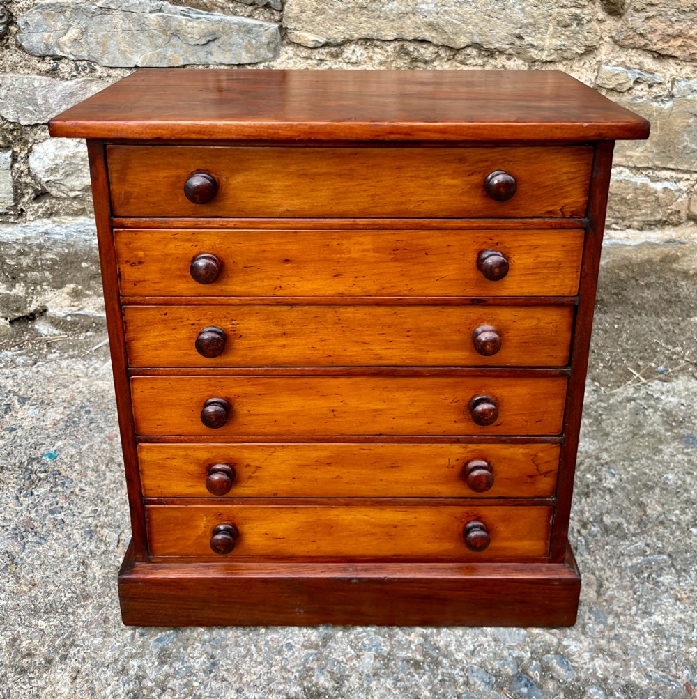 Victorian Specimen Collectors Chest