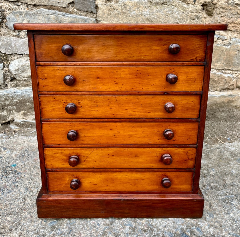 Victorian Specimen Collectors Chest View II