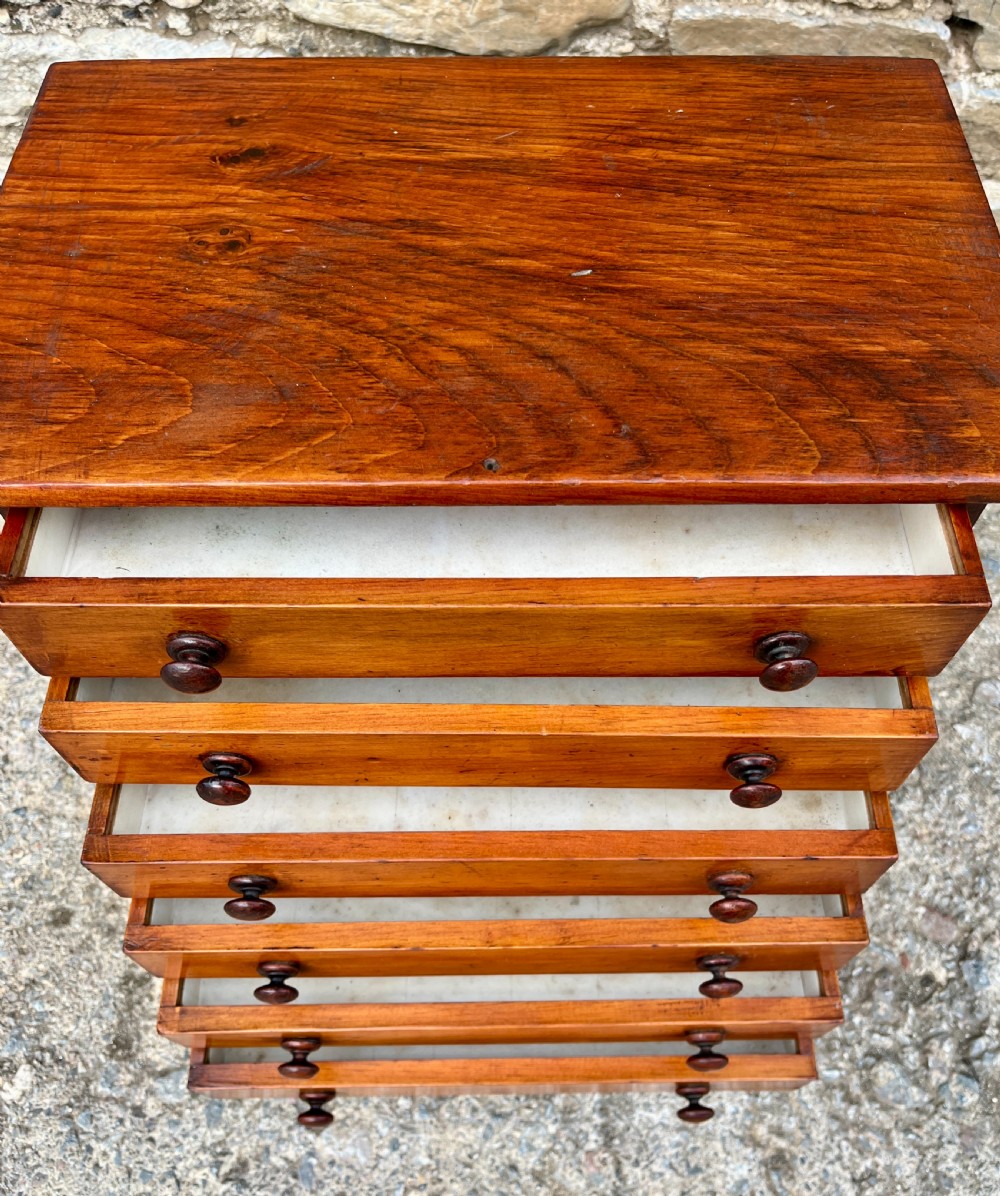 Victorian Specimen Collectors Chest View III