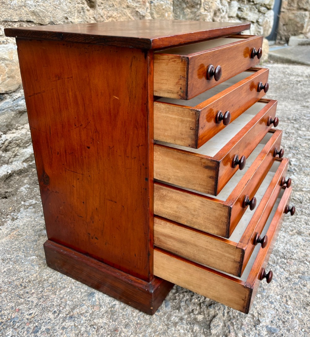 Victorian Specimen Collectors Chest View IV