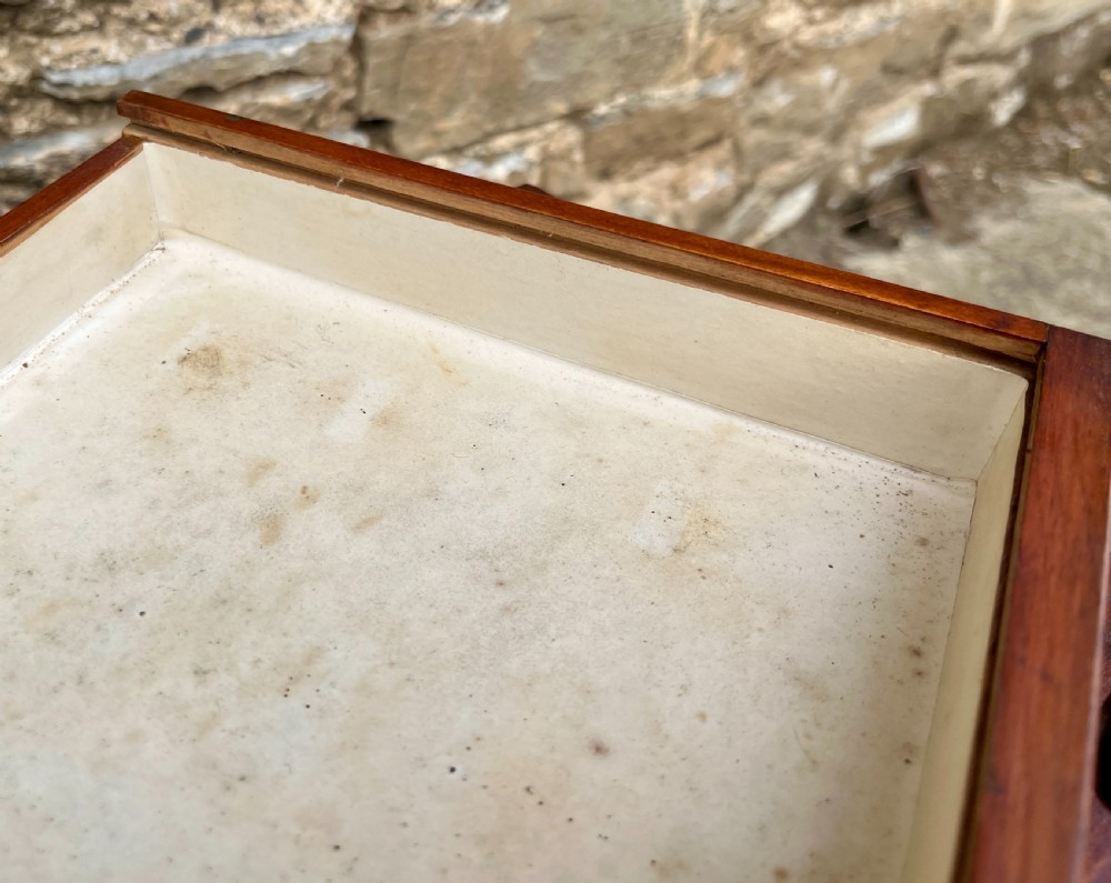 Victorian Specimen Collectors Chest View VI