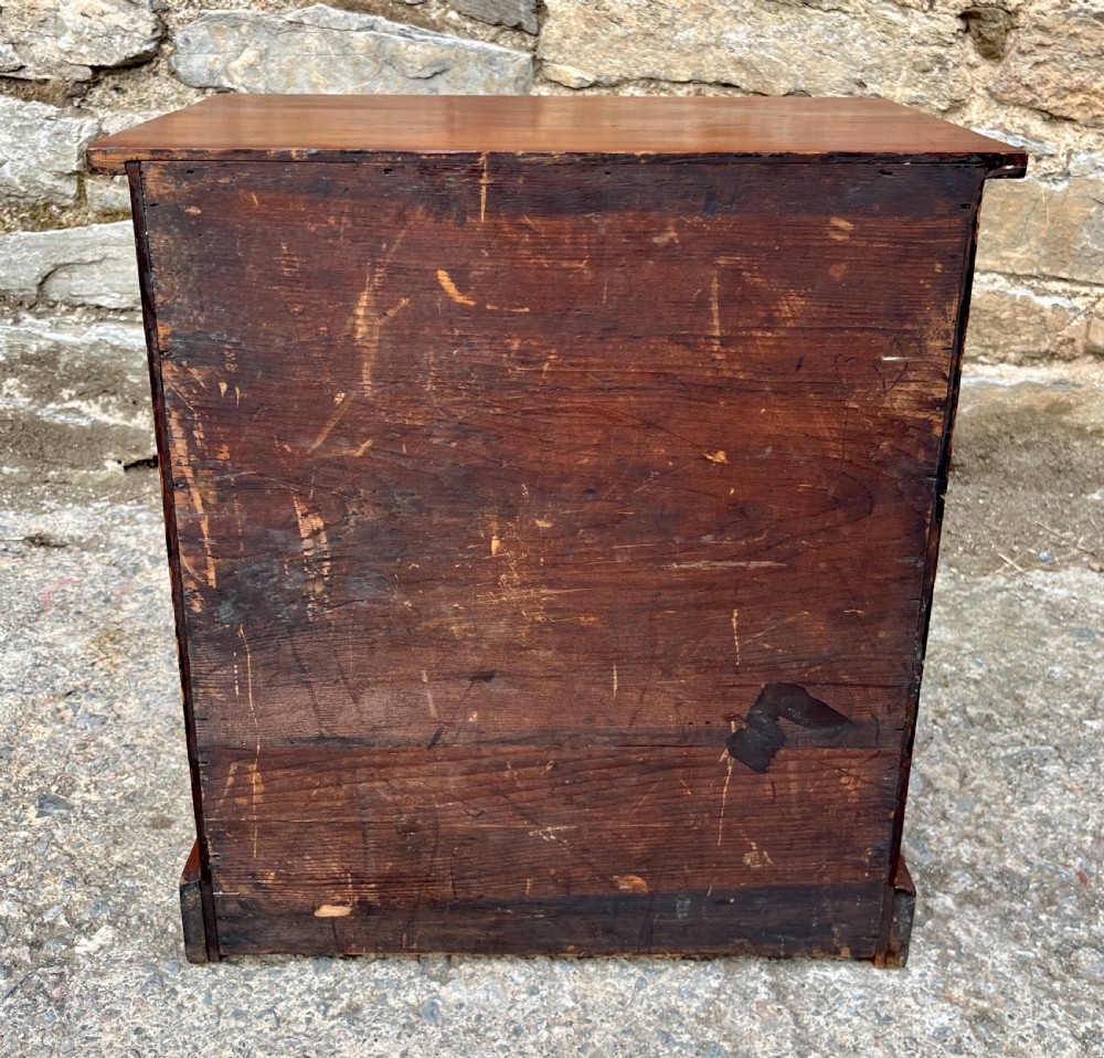 Victorian Specimen Collectors Chest View VII