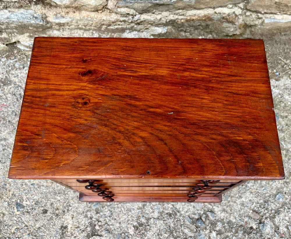 Victorian Specimen Collectors Chest View VIII