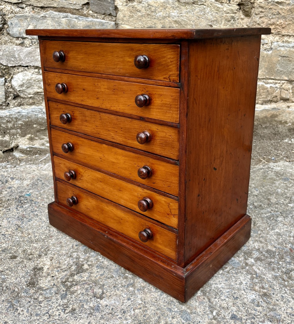 Victorian Specimen Collectors Chest View IX