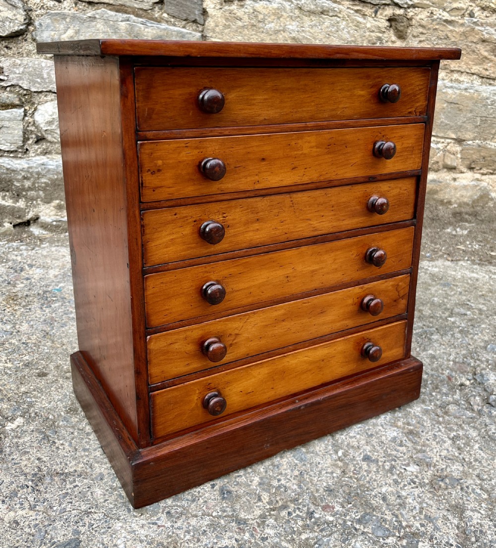 Victorian Specimen Collectors Chest View XII