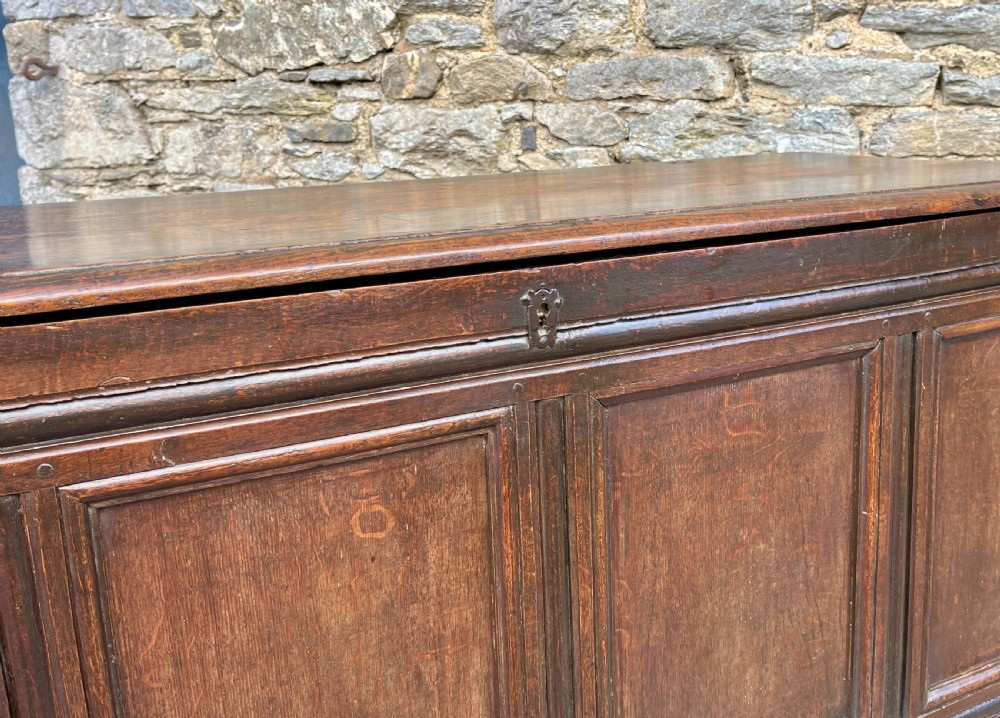 Large 18th Century Four Panel Oak Coffer View XIX
