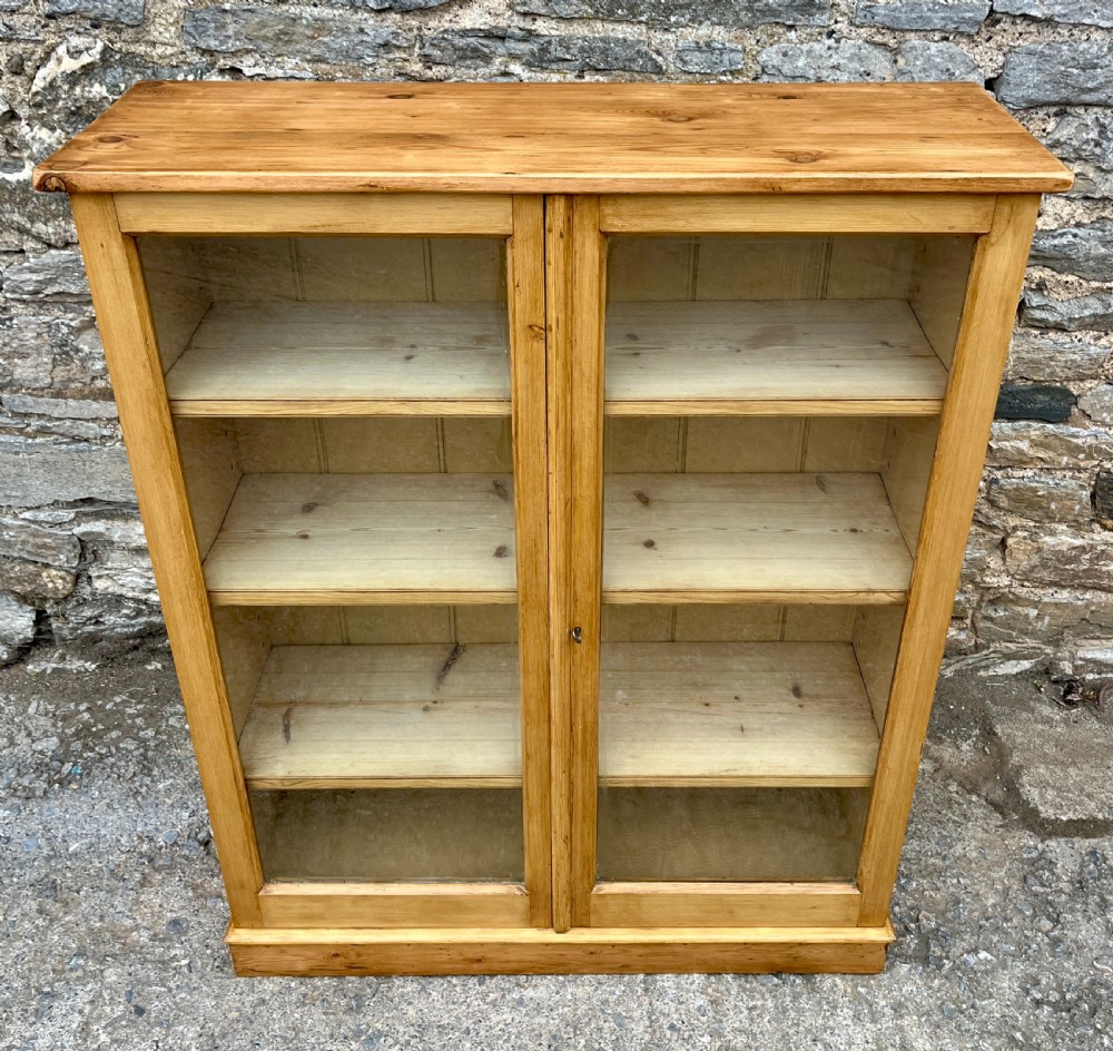 Antique Pine Glazed Cupboard View II