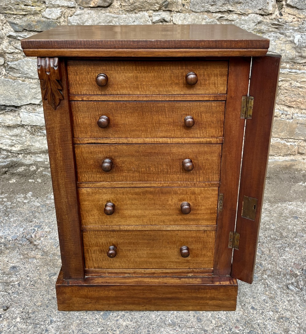 Antique Mahogany Wellington Chest View VI