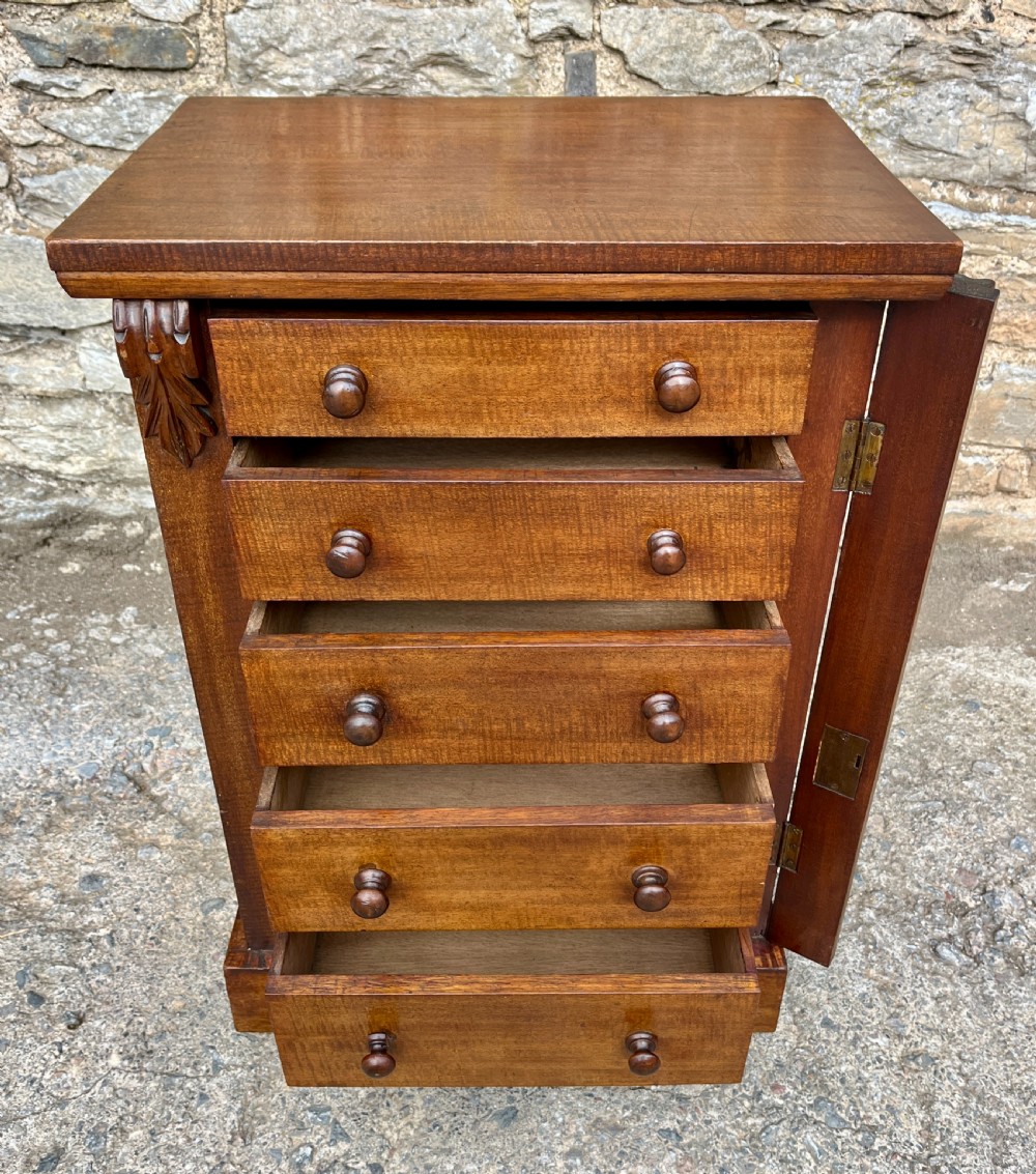 Antique Mahogany Wellington Chest View VII