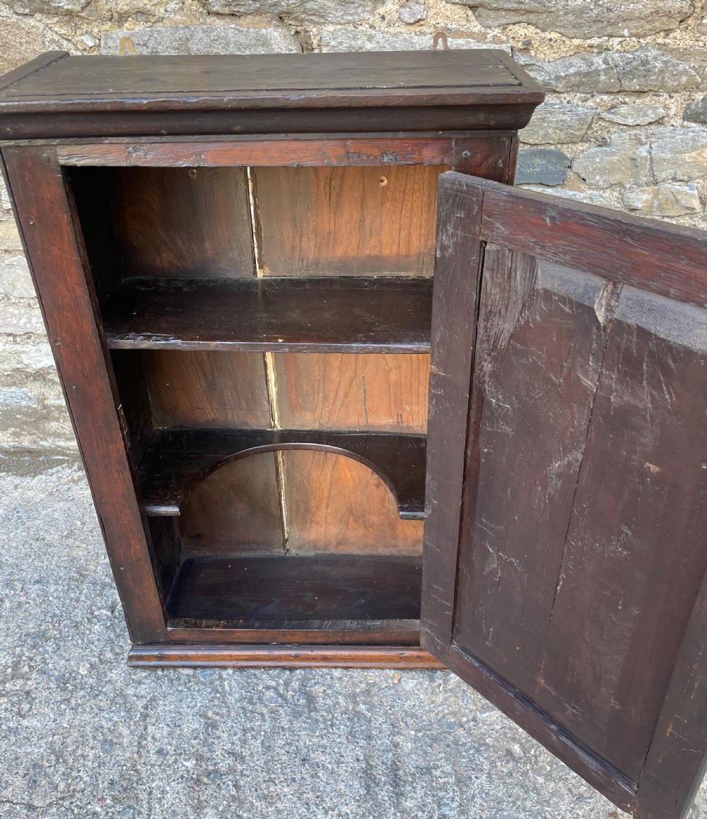 Georgian Oak Wall Cupboard View VI