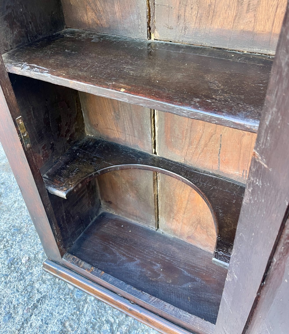Georgian Oak Wall Cupboard View XI