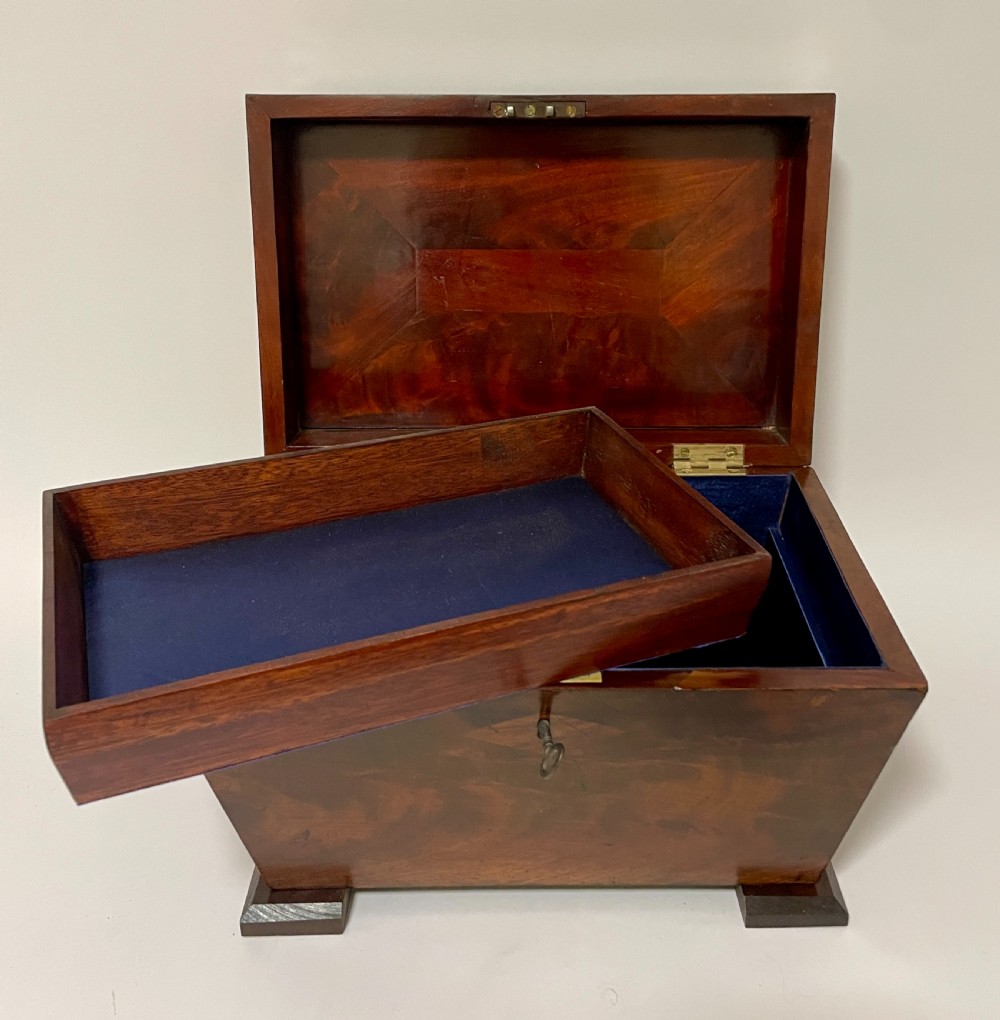 Antique Mahogany Caddy Box View IV