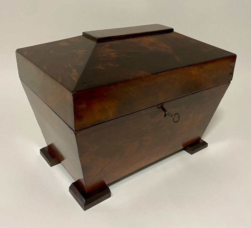 Antique Mahogany Caddy Box View VIII