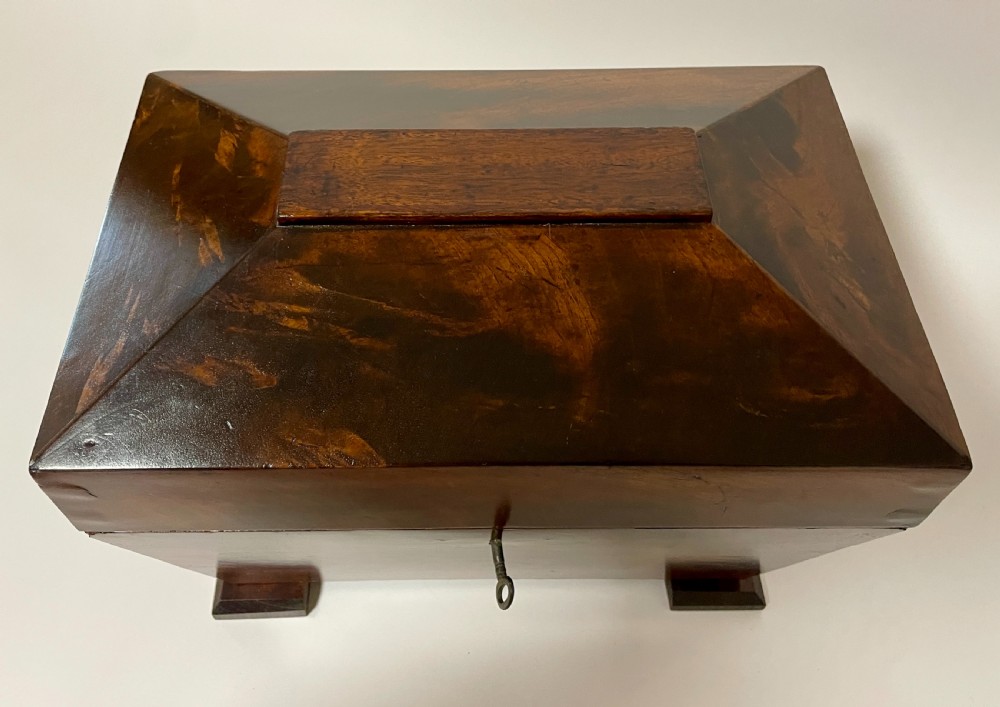 Antique Mahogany Caddy Box View XII