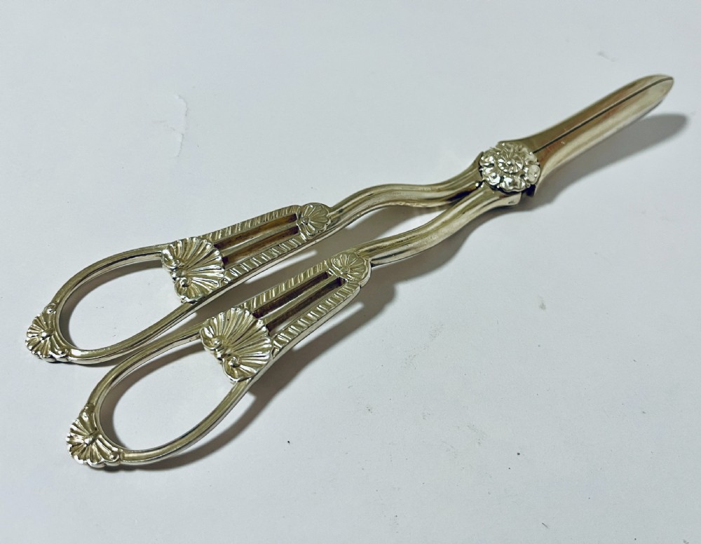 Victorian Silver Grape Scissors View VII
