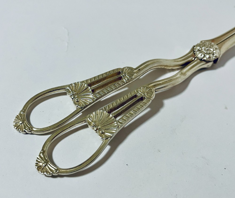 Victorian Silver Grape Scissors View VIII