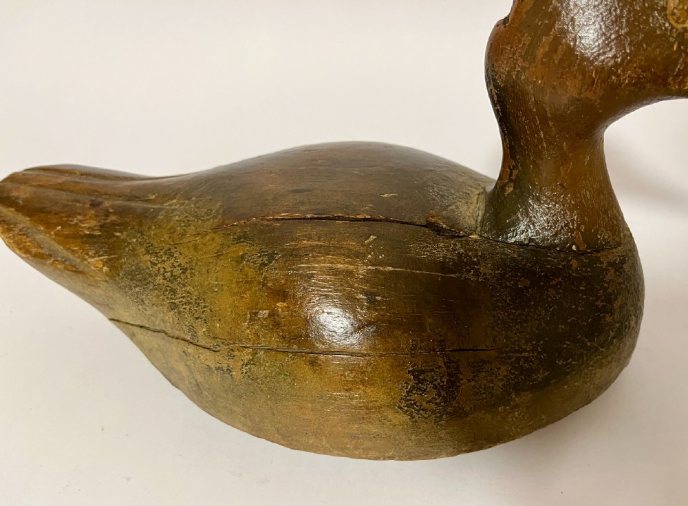 Antique Decoy Duck View VIII