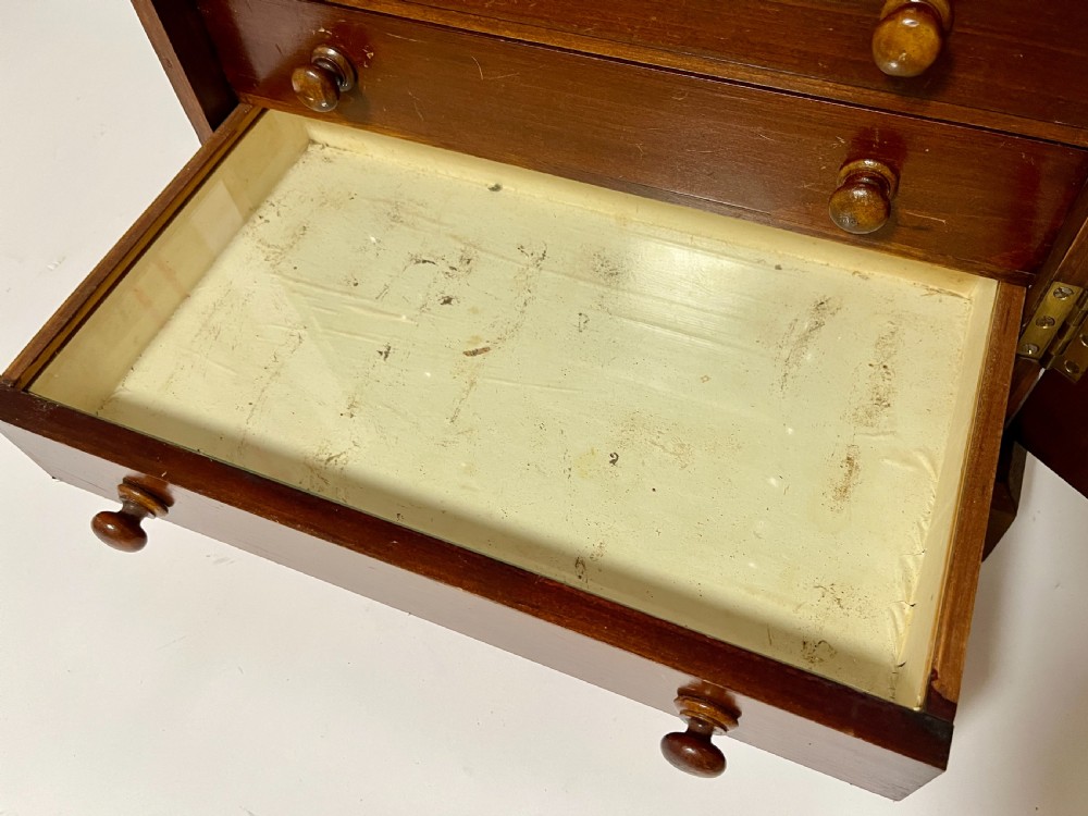 Antique Collector's Specimen Chest
 View IV