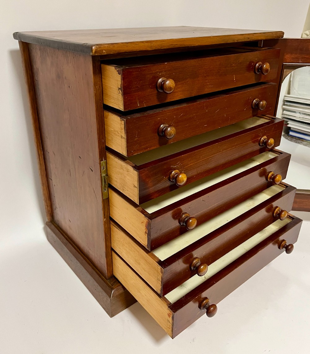 Antique Collector's Specimen Chest
 View VI