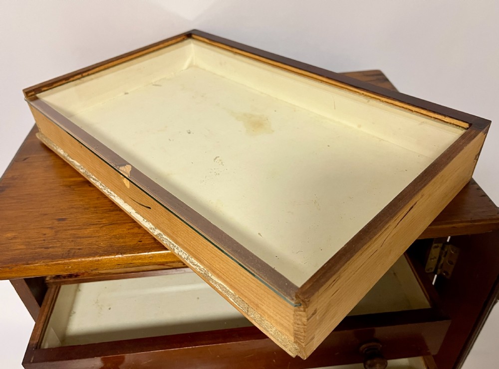 Antique Collector's Specimen Chest
 View VII