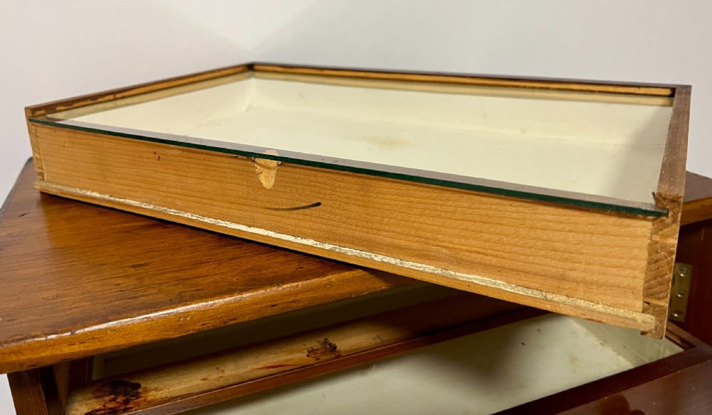 Antique Collector's Specimen Chest
 View VIII