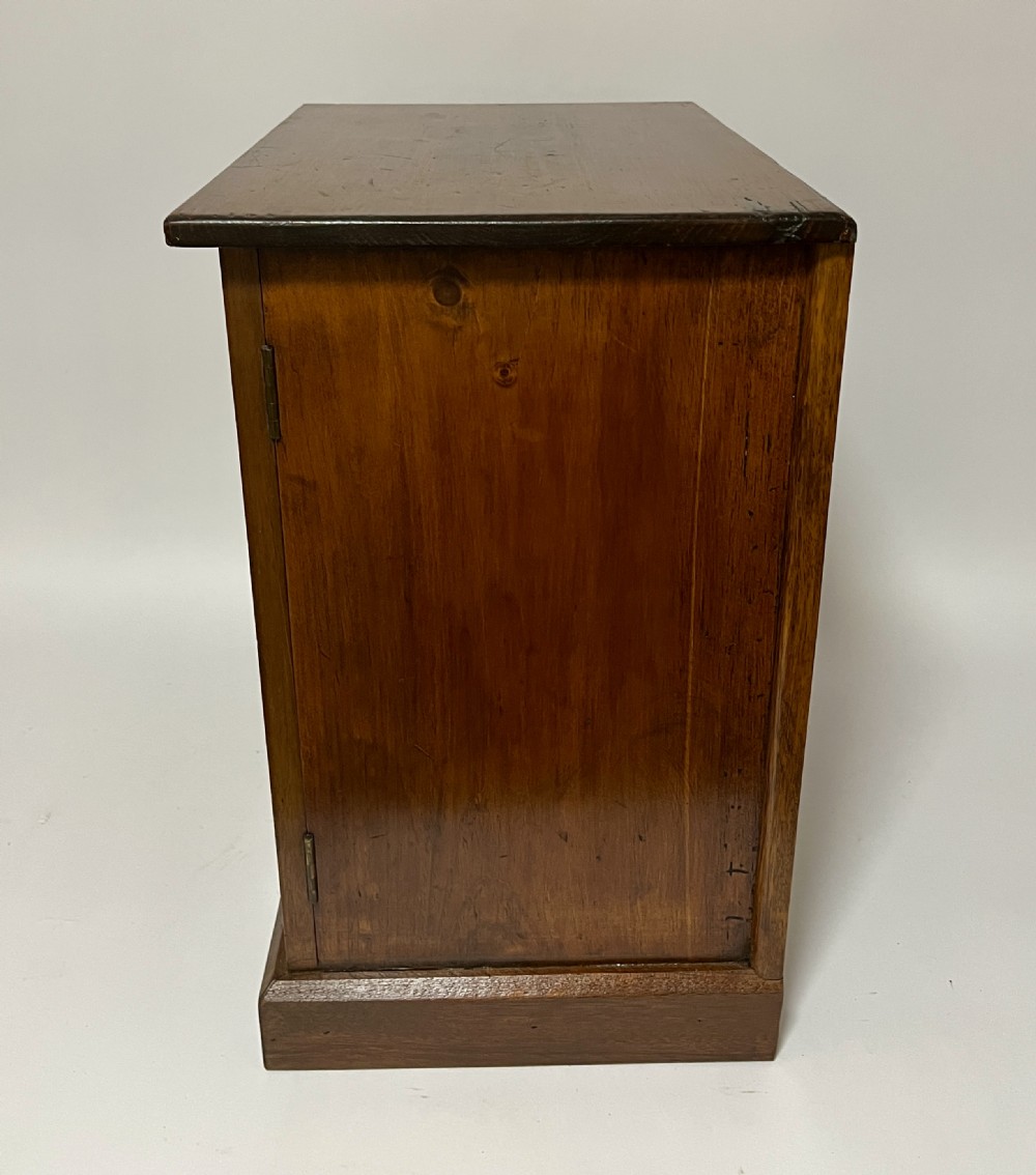 Antique Collector's Specimen Chest
 View XV