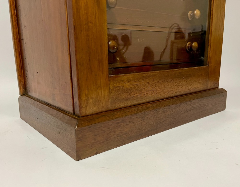 Antique Collector's Specimen Chest
 View XVIII