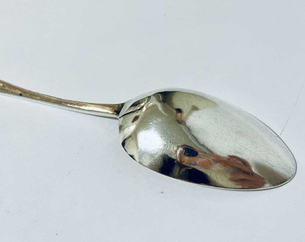 Exeter Silver Georgian Serving Spoon View VI