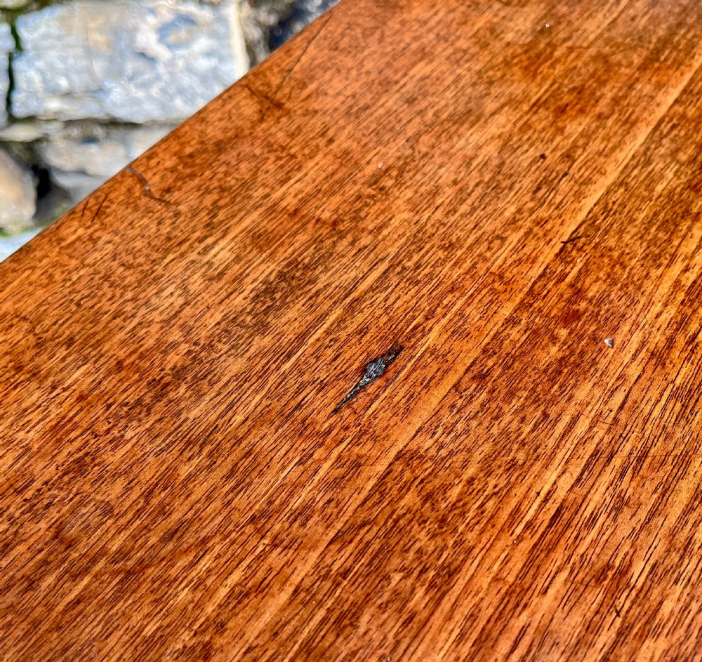 Regency Mahogany Tilt Top Wine Table View VIII
