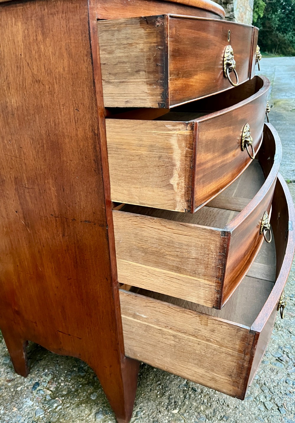 Regency Mahogany Bow Front Chest of Drawers View III