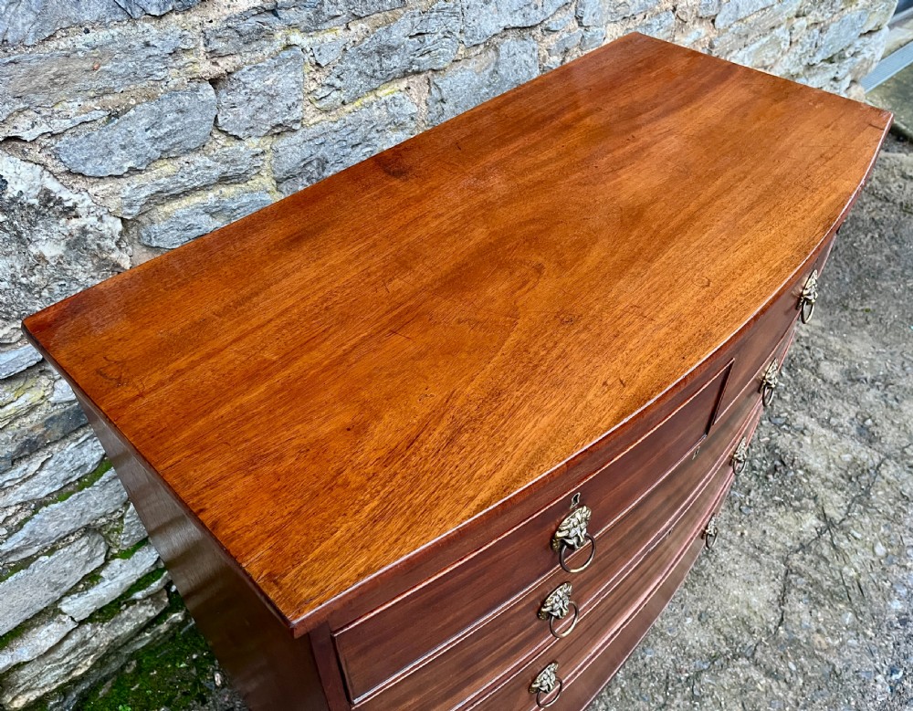 Regency Mahogany Bow Front Chest of Drawers View IV