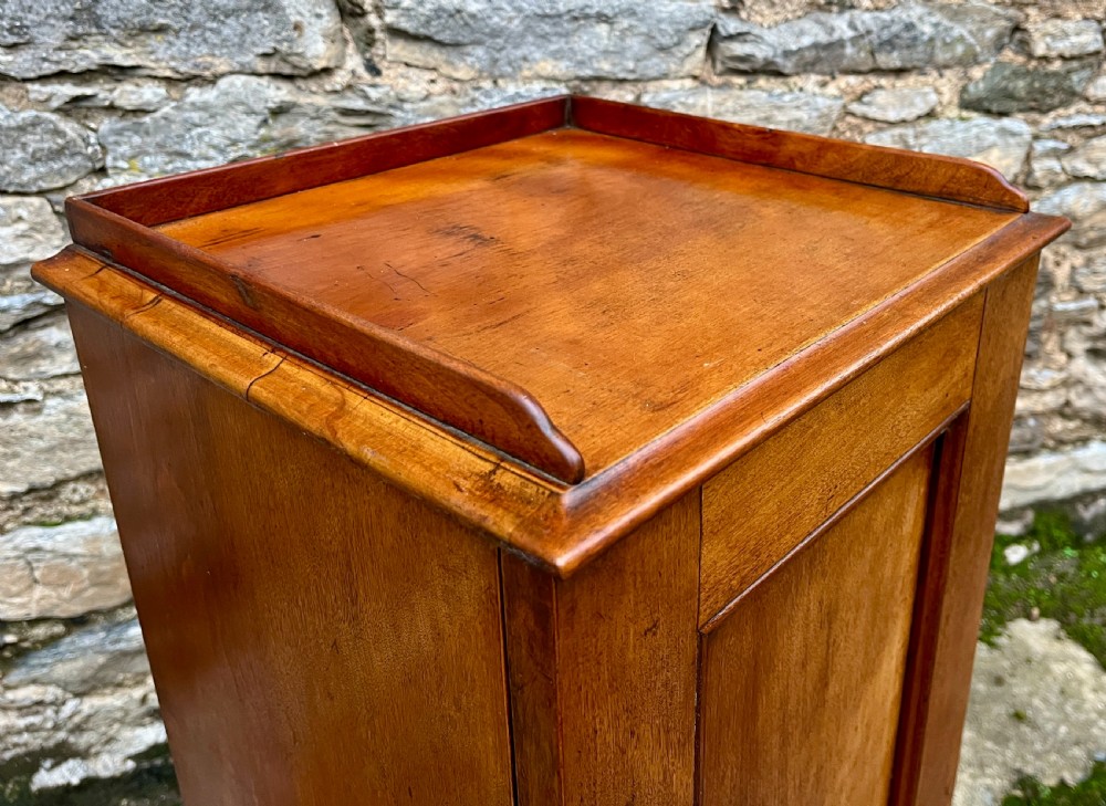 Victorian Mahogany Pot Cupboard View IX