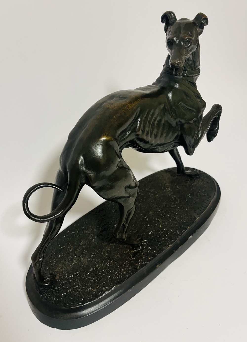 Bronze Study of a Greyhound after Christophe Fratin View II
