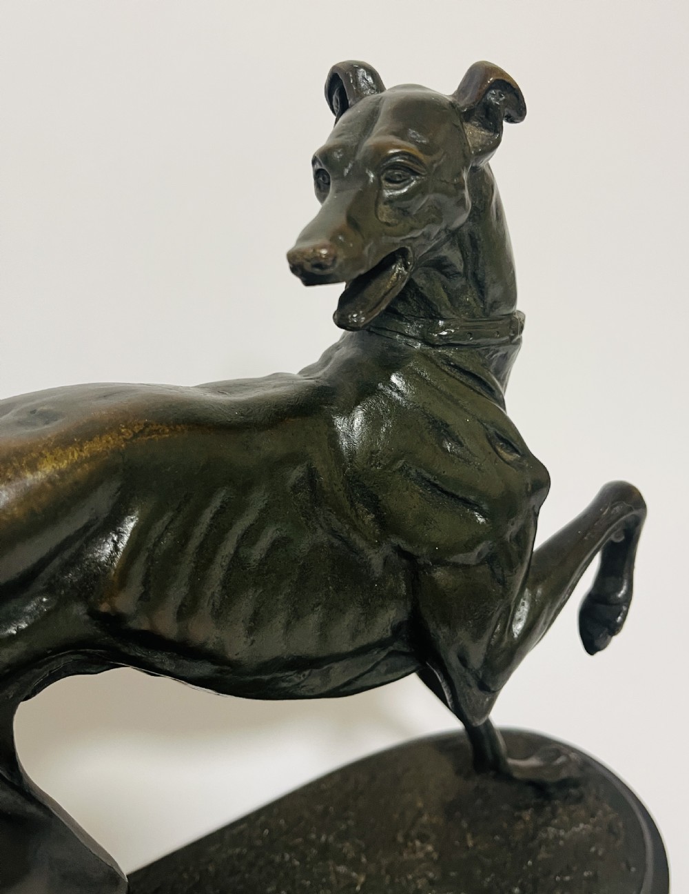 Bronze Study of a Greyhound after Christophe Fratin View IV