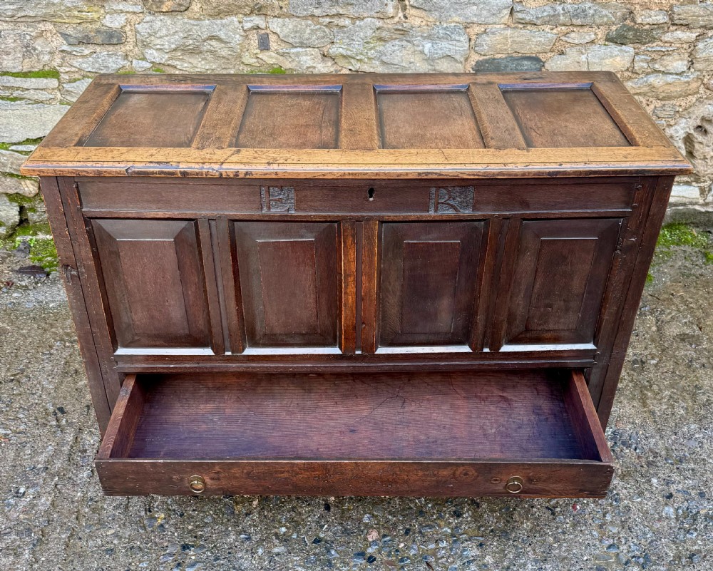 A dark brown Georgian oak mule chest featuring four fielded front panels, carved initials E and R, and a single lower drawer with twin brass drop handles. View VI