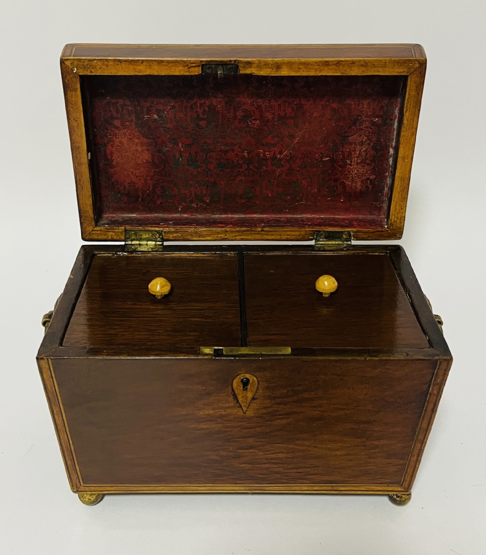 Regency Partridge Wood Tea Caddy