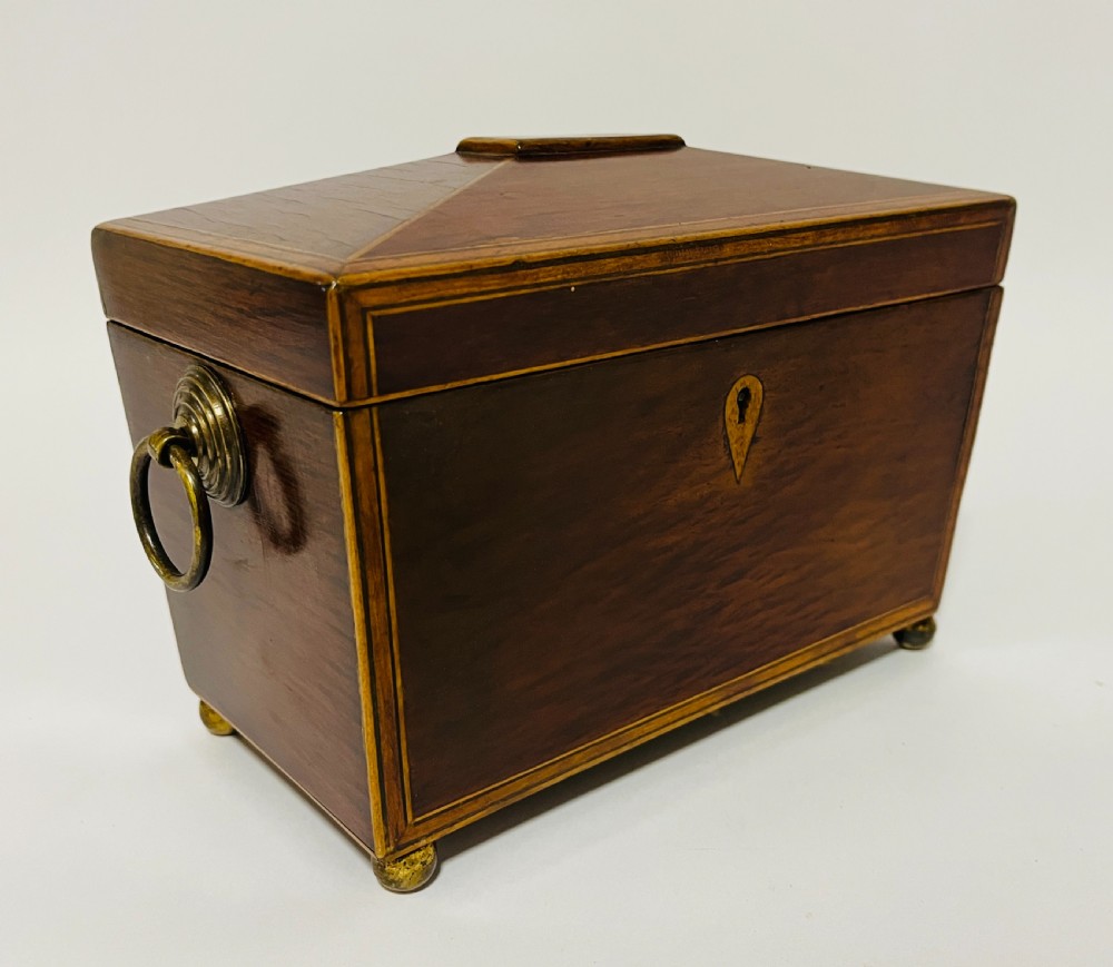 Regency Partridge Wood Tea Caddy View VI